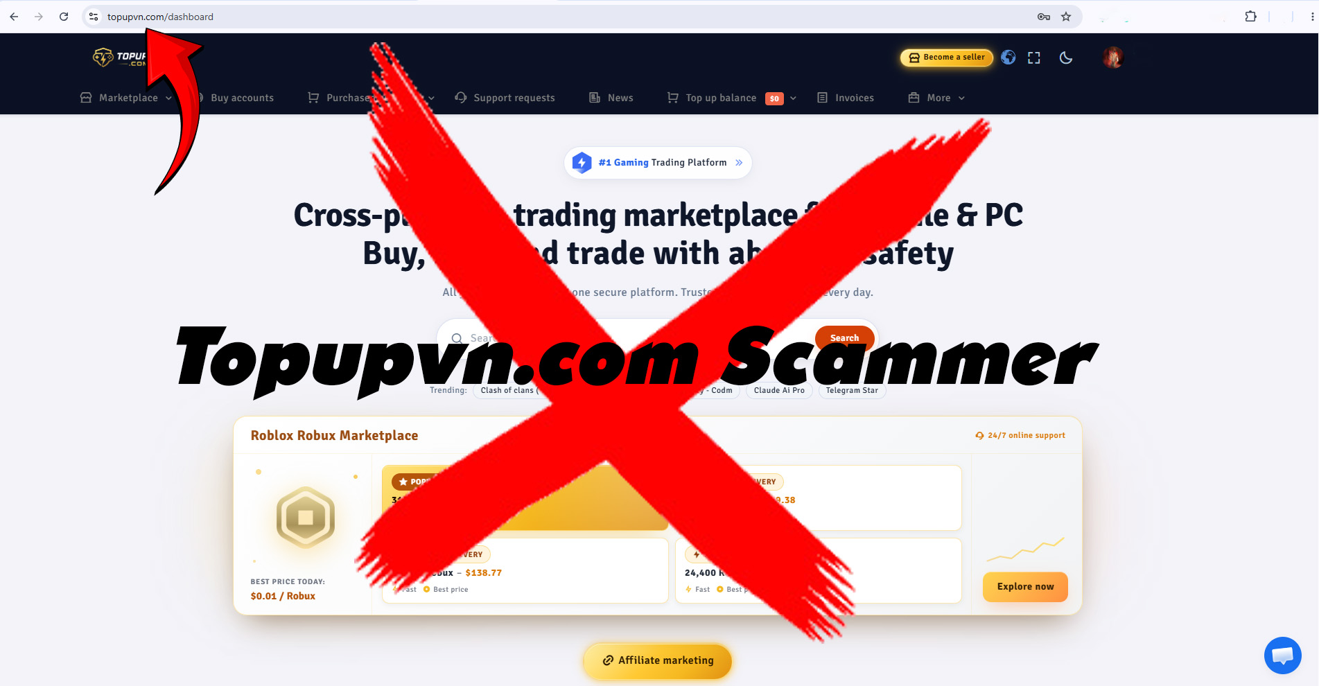 Topupvn.com Scammer
